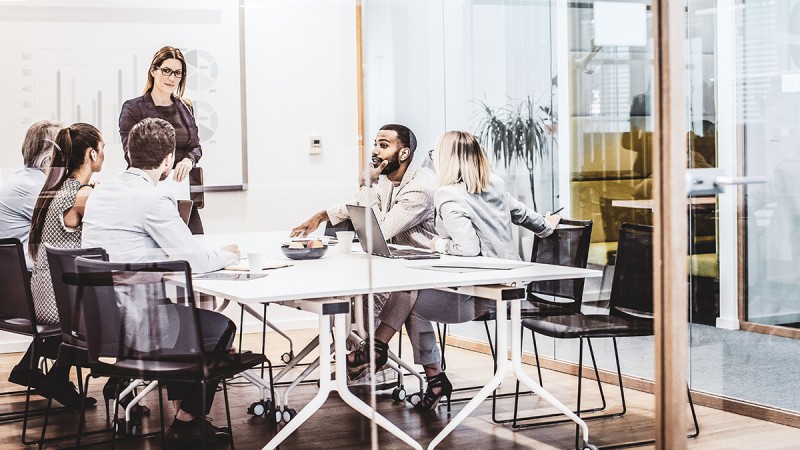 207228_16_9-schaeffler-consulting_rwd_800